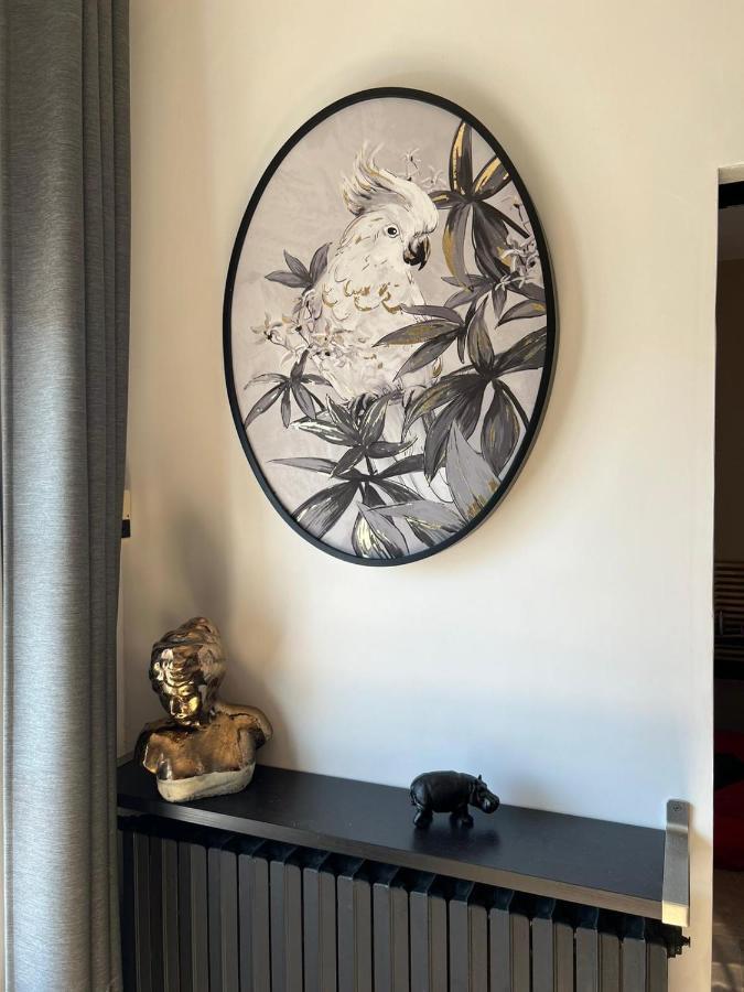 ✧Le Petit Joyau✧ Lägenhet Grimaud Exteriör bild